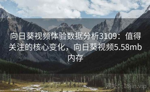 向日葵视频体验数据分析3109：值得关注的核心变化，向日葵视频5.58mb内存