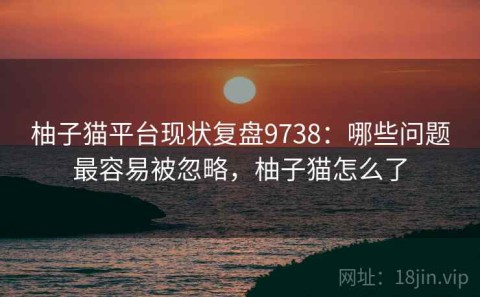 柚子猫平台现状复盘9738：哪些问题最容易被忽略，柚子猫怎么了