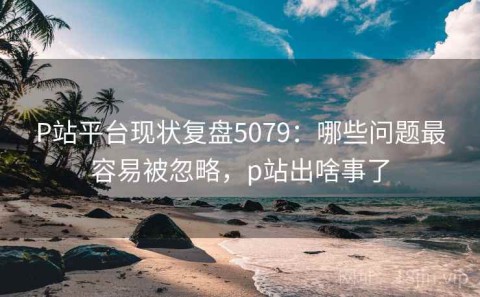 P站平台现状复盘5079：哪些问题最容易被忽略，p站出啥事了
