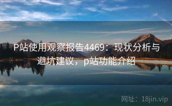 P站使用观察报告4469：现状分析与避坑建议，p站功能介绍