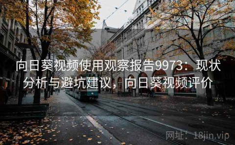 向日葵视频使用观察报告9973：现状分析与避坑建议，向日葵视频评价