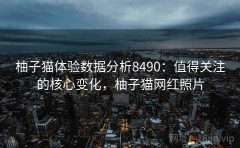 柚子猫体验数据分析8490：值得关注的核心变化，柚子猫网红照片