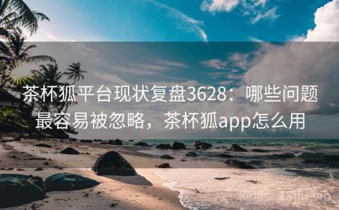 茶杯狐平台现状复盘3628：哪些问题最容易被忽略，茶杯狐app怎么用