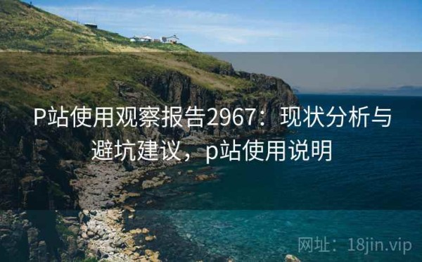 P站使用观察报告2967：现状分析与避坑建议，p站使用说明