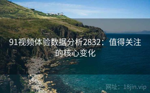 91视频体验数据分析2832：值得关注的核心变化