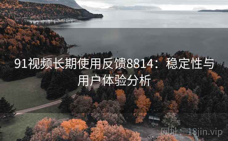 91视频长期使用反馈8814:稳定性与用户体验分析 91视频长期使用反馈8814:稳定性与用户体验分析