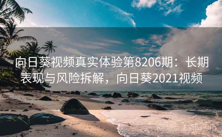 向日葵视频真实体验第8206期：长期表现与风险拆解，向日葵2021视频