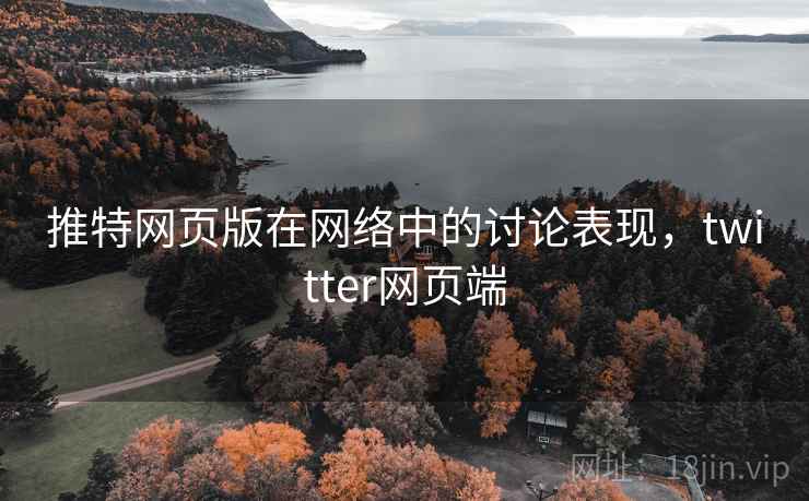 推特网页版在网络中的讨论表现，twitter网页端
