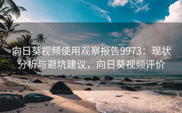 向日葵视频使用观察报告9973：现状分析与避坑建议，向日葵视频评价