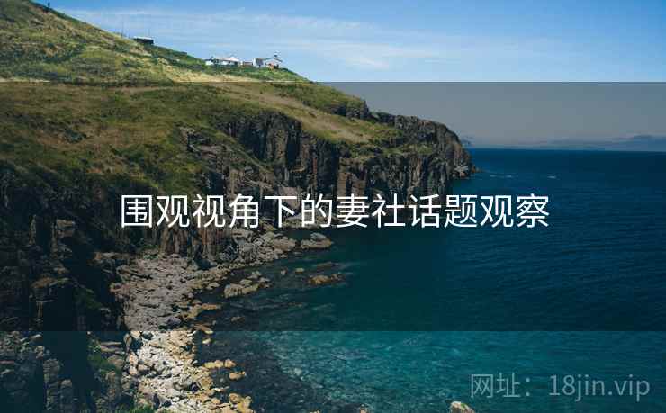 围观视角下的妻社话题观察