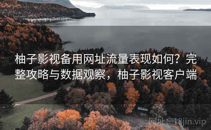 柚子影视备用网址流量表现如何？完整攻略与数据观察，柚子影视客户端