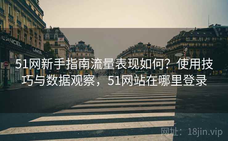51网新手指南流量表现如何？使用技巧与数据观察，51网站在哪里登录
