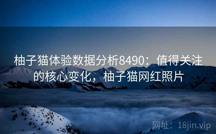 柚子猫体验数据分析8490:值得关注的核心变化,柚子猫网红照片 柚子猫体验数据分析8490:值得关注的核心变化,柚子猫网红照片